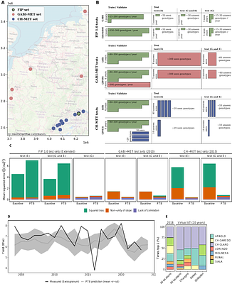 The plant-time-bender model: predicting yield through wheat's perception of time
