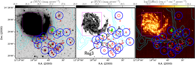 A Virgo Environmental Survey Tracing Ionised Gas Emission (VESTIGE) XX. Star formation in the tidal tail of NGC 4254