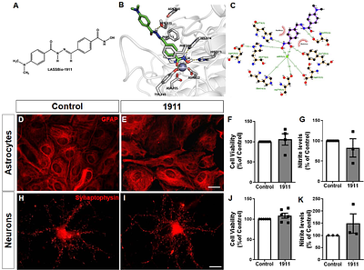 Histone deacetylase inhibition mitigates cognitive deficits and astrocyte dysfunction induced by Ab oligomers