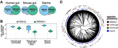 Phylogenize2: robust phylogenetic methods link genes to phenotypes across host-associated and environmental microbiomes