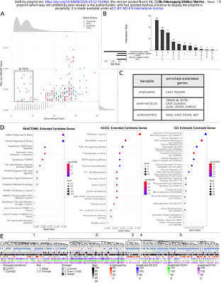 EBEx: an Ensemble-Based Explainable Framework for Gene Calling in Heterogeneous Diseases