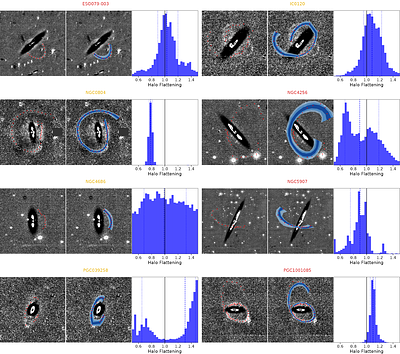 Constraints on the population level distribution of nearby Dark Matter halo shapes with extragalactic streams