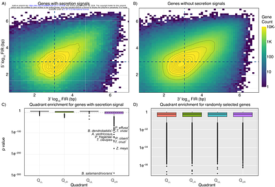 Eukaryotic secreted proteins are encoded in repeat-rich genomic regions