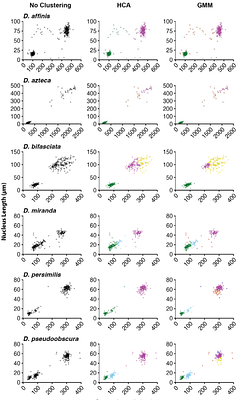 CLUSTERING SPERM: A STATISTICAL APPROACH TO IDENTIFY SPERM MORPH NUMBERS IN THE DROSOPHILA OBSCURA SPECIES GROUP