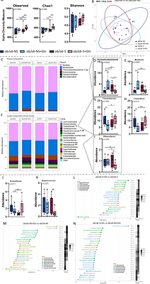 Stress limits the beneficial effects of glutamine in male ob/ob mice