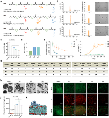 Deep learning guided discovery of antibacterial polymeric nanoparticles