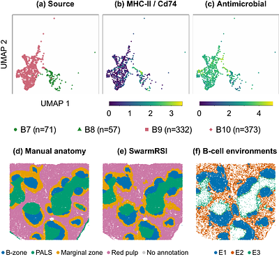 SwarmRSI: Recursive Self-Improvement through Evolving Scientific Agent Swarm