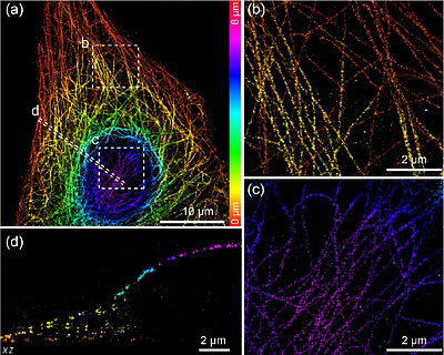 Aberration correction for deformable mirror based remote focusing enables high-accuracy whole-cell super-resolution imaging