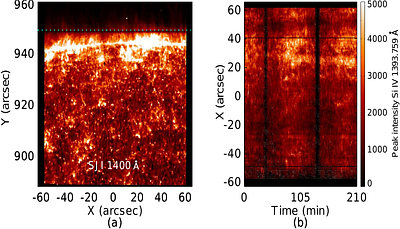 Spatially Coherent and Intermittent Alfvénic Fluctuations in Solar Polar Spicules