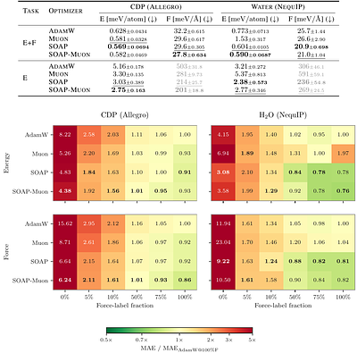 Beyond Adam: SOAP and Muon for Faster, Label-Efficient Training of Machine Learning Interatomic Potentials