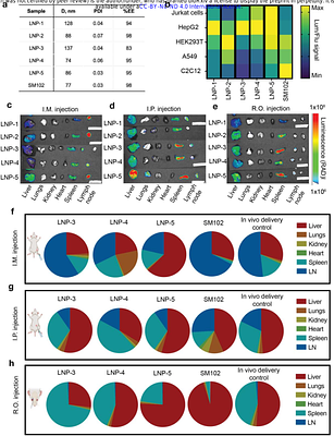 Lipid Nanoparticles for Spleen-Targeted RNA delivery