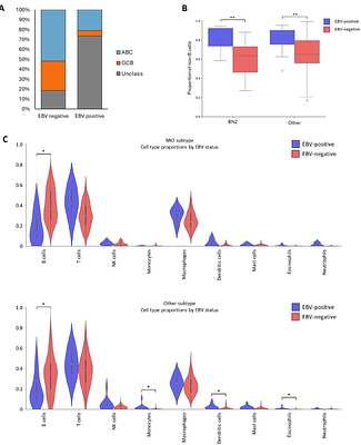 Integrating Epstein-Barr virus (EBV) status into diffuse large B cell lymphoma (DLBCL) genetics