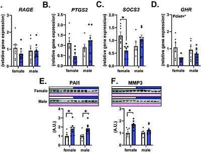Placental lipid handling, growth and inflammatory pathways are modified by a maternal Mediterranean diet