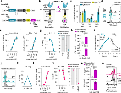Pharmacologically regulated bioorthogonal stabilization domain for regulation of CAR T cells