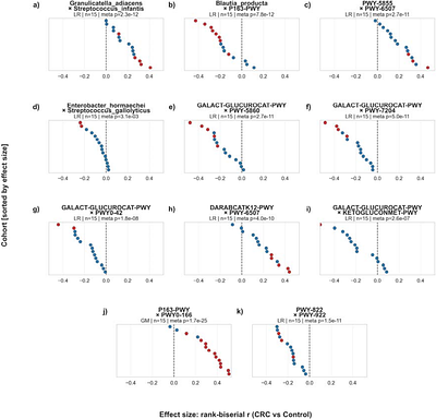 Beyond single markers: bacterial synergies identified by Multidimensional Feature Selection reveal conserved microbiome disease signatures