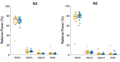 Are infraslow oscillations the missing link between sleep and Alzheimer's?