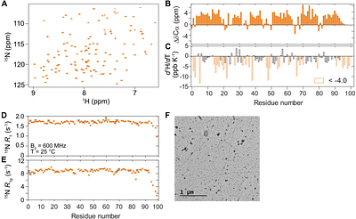 A histidine switch regulates pH-dependent filament formation by the caspase-9 CARD