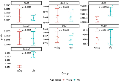 Lysosomal abundance in young and aged mouse hearts assessed by In Vivo Imaging Systems (IVIS) Lysotracker imaging and autophagy-related gene expression