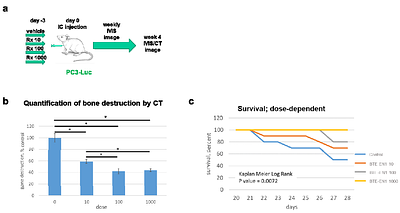 A New Class of Precision Therapeutics that Inhibit Prostate Cancer Mediated Bone Destruction