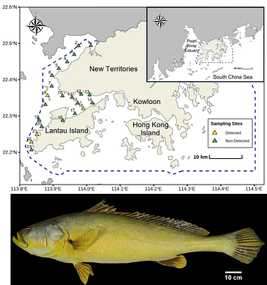 Tracing the 'Panda of the Sea': Species-Specific qPCR Assays for eDNA Monitoring of Critically Endangered Bahaba taipingensis in the Pearl River Estuary