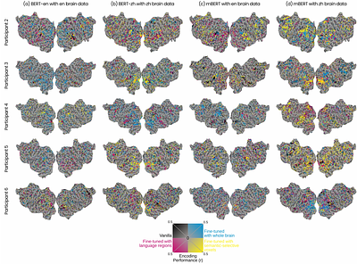 Brain-Informed Fine-Tuning for Improved Multilingual Understanding in Language Models