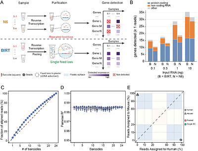 Barcode-integrated reverse transcription for accurate, complete, and low-input RNA sequencing