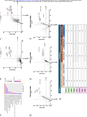 Anellovirus protein coded by ORF2/3 recruits host cell replication andhomologous recombination machinery during replication