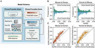 Decoding TF-Specific Predictability in Cross-Species Binding Site Inference