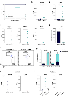 The IL-1 Family Controls Acute Mucosal Fungal Infection and Mucosal-Systemic Dissemination.