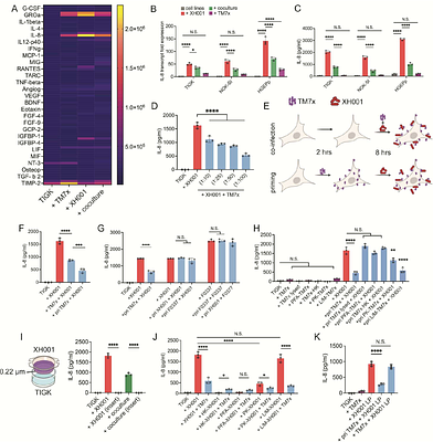 Episymbiotic Saccharibacteria suppresses epithelial immunoactivation through Type IV pili and TLR2 dependent endocytosis