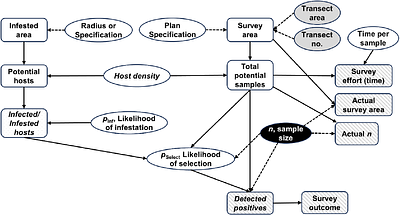 Customized and rapid observational delimiting surveys for plant pests based on transect data and scouting