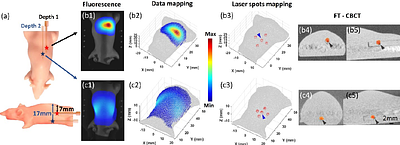 High precision fluorescence tomography-guided system for pre-clinical radiation research: system design and validation