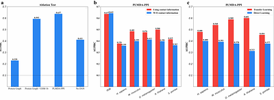 Mechanism-Aware Protein-Protein Interaction Prediction via Contact-Guided Dual Attention on Protein Language Models