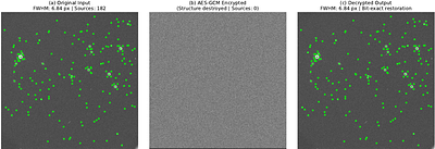 A High-Throughput AES-GCM Implementation on GPUs for Secure, Policy-Based Access to Massive Astronomical Catalogs