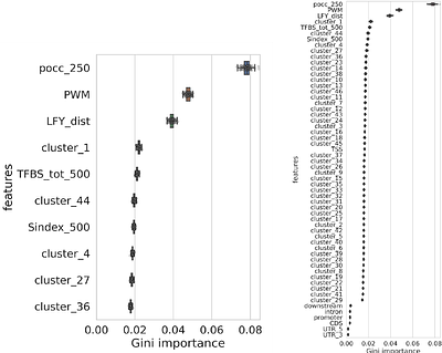 Beyond binding motif: genomic context predicts transcription factor dependent regulation in Arabidopsis