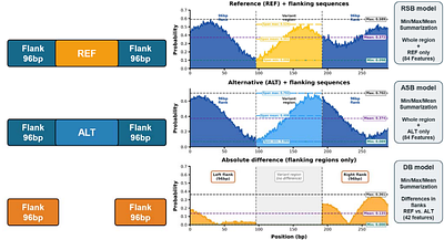 Coordinate- and Sequence-Based Features for a new Combined Annotation-Dependent Depletion Framework of Structural Variants (CADD-SV v2.0)