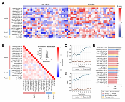 Brain-derived extracellular vesicle microRNAs in Lewy body and Alzheimer's disease