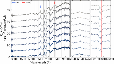 White dwarf + M dwarf Detached Binaries in Long Period Radio Transients: Observed Binary Parameters, Evolution, and Population Constraints