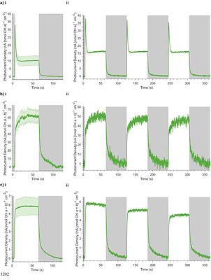 Dissecting a biological electron transport network with electrochemistry