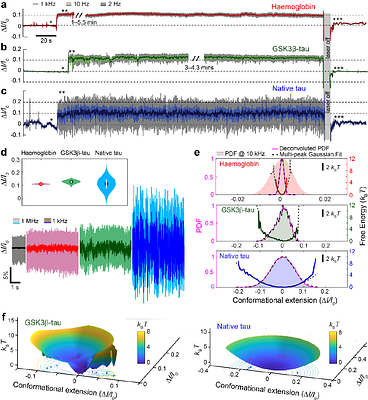 Direct observation of single intrinsically disordered proteins in solution