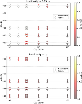 Interaction between vegetation and Snowball phases in the late Proterozoic Earth