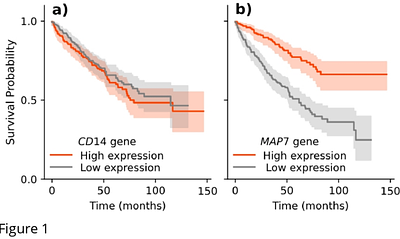 Visual analytics framework for survival analysis and biomarker discovery