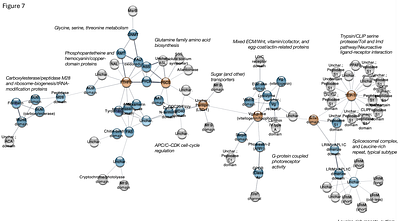 Impact of thermal variation on the transcriptome of Plasmodium falciparum infected Anopheles stephensi