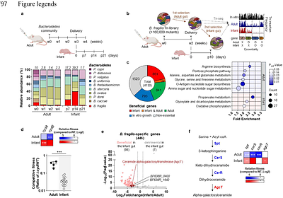 Bacterial glycosphingolipids orchestrate colonization and immune modulation in neonatal host