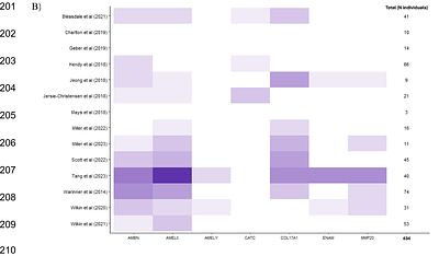 Beyond dairy: Identification of dental enamel proteins in ancient human dental calculus
