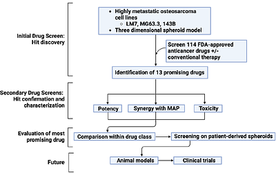 Repurposing Romidepsin for Osteosarcoma: Screening FDA-Approved Oncology Drugs with Three-Dimensional Osteosarcoma Spheroids
