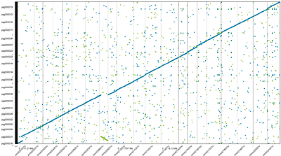 HiFi-Helper: A reproducible workflow for genome assembly from HiFi reads alone