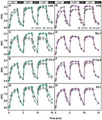 Nonphotochemical quenching changes with abiotic stressor and developmental stages