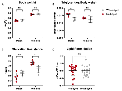 Mutation of the white gene in Drosophila has broad phenotypic and transcriptomic effects