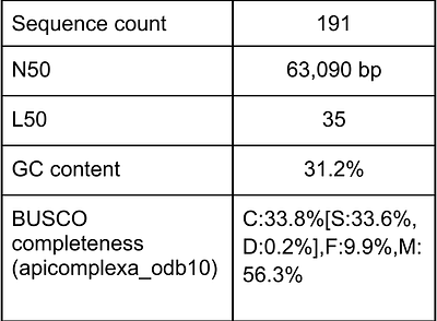 Genome sequencing confirms cryptic diversity and potentially adaptive changes in gene content of Lepidoptera-infecting Apicomplexa